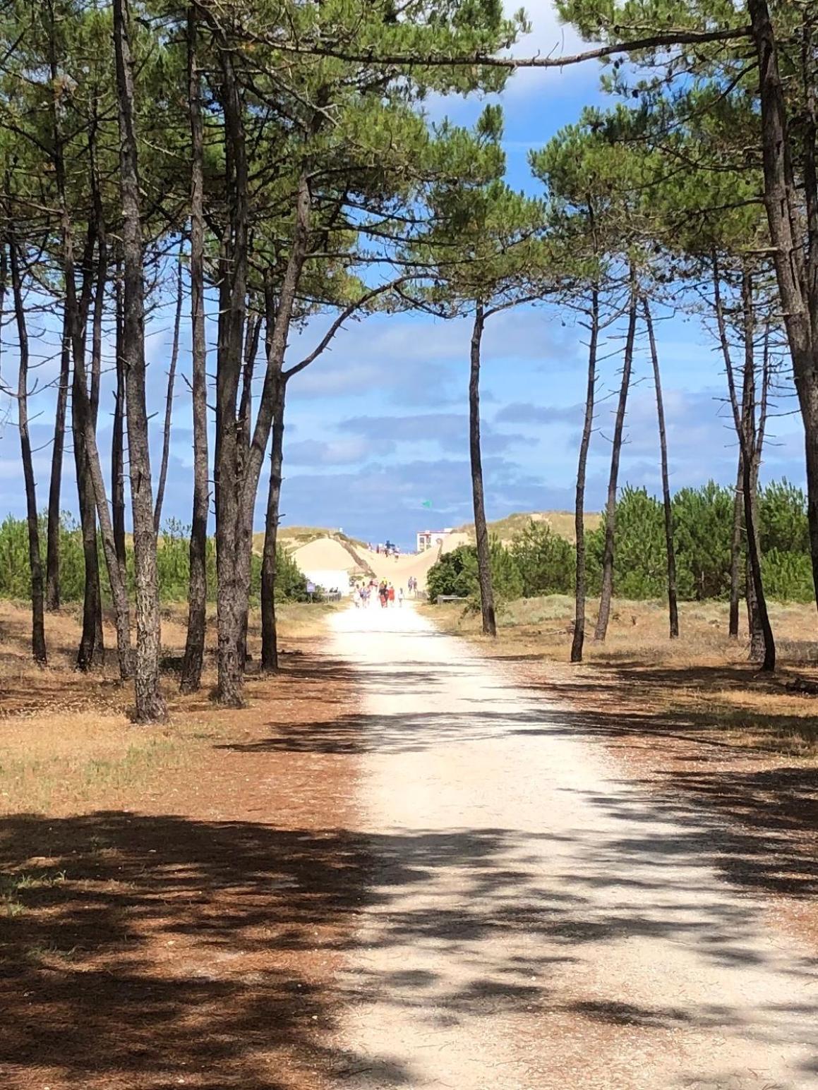 Almigeda Villa Les Mathes Kültér fotó