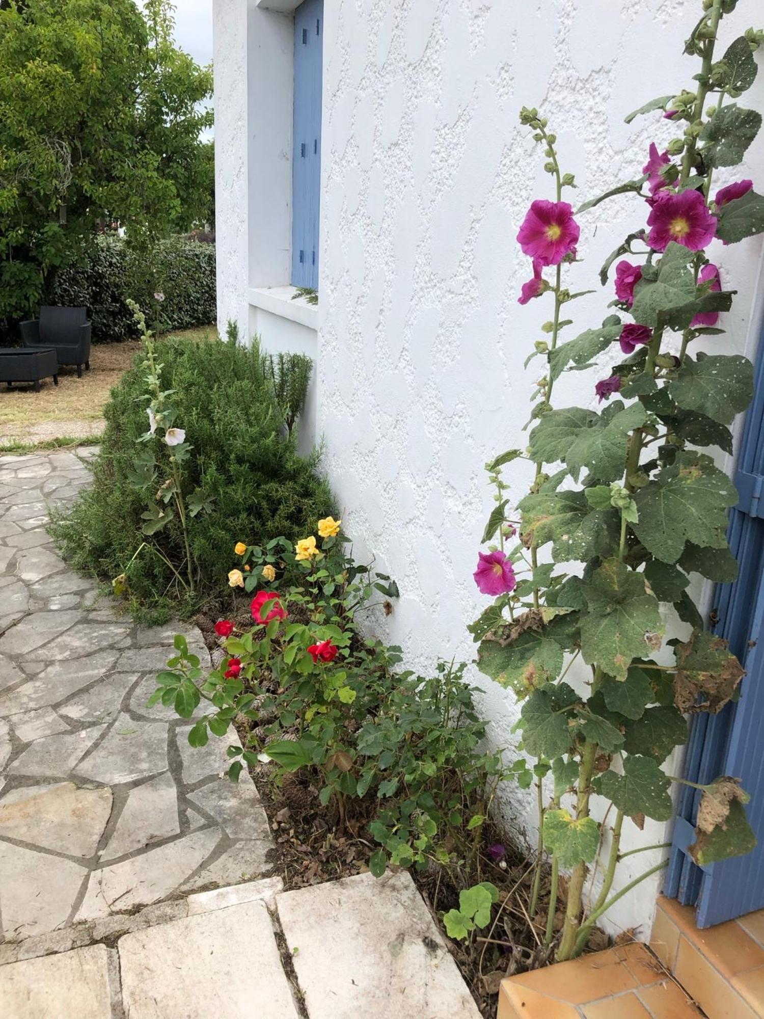Almigeda Villa Les Mathes Kültér fotó